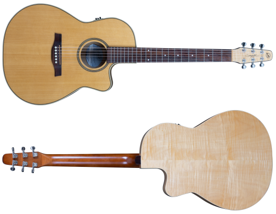 Seagull Performer CW Folk Flamed Maple HG QIT